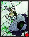 Humming Bird