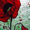 Red poppy Left