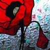 Red Poppy Left