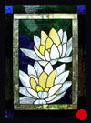 Water Lilly